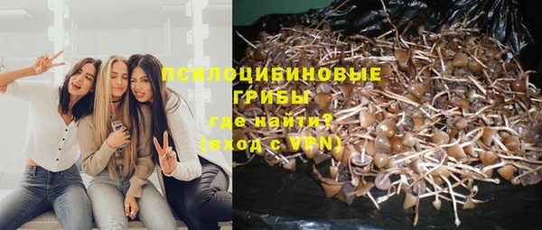 спиды Алексин