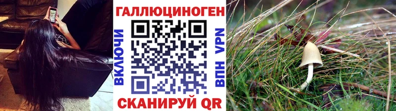 купить закладку  Поронайск  Псилоцибиновые грибы Psilocybe 